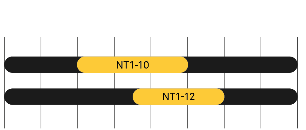 NT1 Table graph